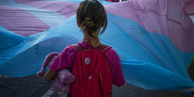 A girl holds the Transgender Pride flag during the pride march held in one of the most important streets of Madrid. 