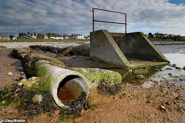 Campaigners have demanded that infrastructure is upgraded to stop leaks and sewage discharges. Pictured are disused sewage pipes at Morecambe Bay