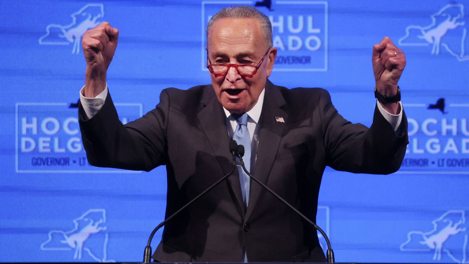 U.S. Senate Democratic leader Chuck Schumer (D-NY) speaks at a U.S. midterm election night party for New York Governor Kathy Hochul in New York, New York, U.S. November 8, 2022.