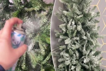 I'm a savvy shopper…a £1 B&M hack makes a Christmas tree look great without faff