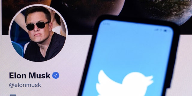 A photo of the Twitter logo in front of Elon Musk's official Twitter page.