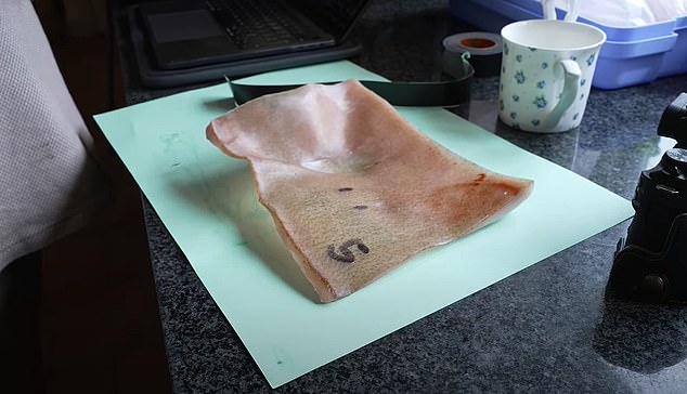 Mr Boyce burnt pig skin (above) on the front of the other Aga to test the theory about what happened to Nevill Bamber's body