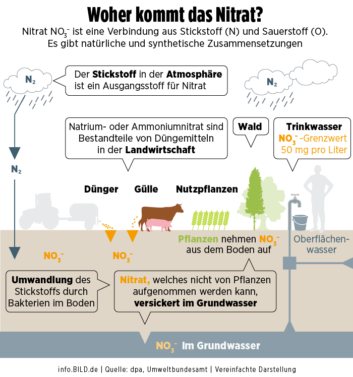 Where does the nitrate come from?  – infographic
