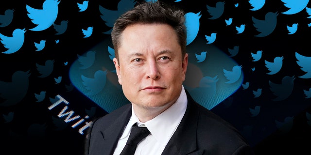 Elon Musk has wasted little time making his mark on Twitter since he took over in October.