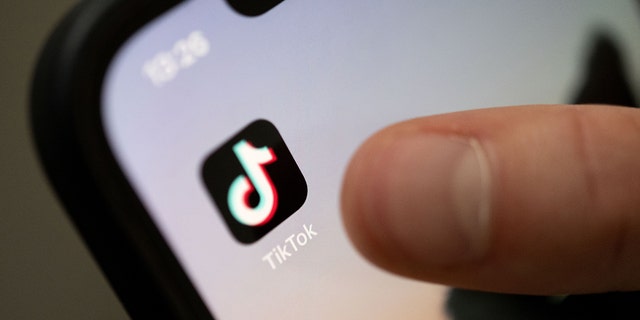 The Pentagon banned TikTok from government devices as lawmakers and experts warn against the online dangers.  