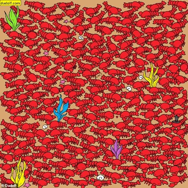 The Hungarian artist Gergely Dudas, better known as Dudolf , recently released a new brainteaser that challenges fans to find the four tiny crabs hiding among a group of lobsters