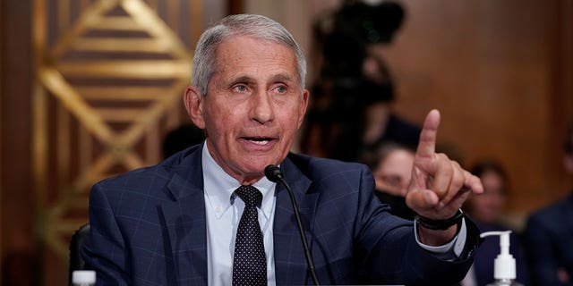 "My — I mean, I'm thinking back, then, my — my opinion of the effect of hydroxychloroquine was based on accumulating data from a number of studies. I don't recall specifically what those studies are now," Fauci said.