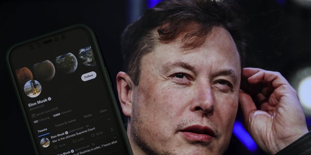 Elon Musk has said Twitter's revamped verification system will include manual authentications.