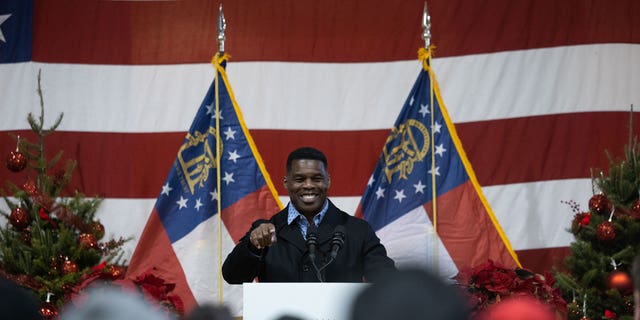 Republican Senate nominee Herschel Walker speaks to a crowd gathered for a rally with prominent Republicans on November 21, 2022 in Milton, Georgia.