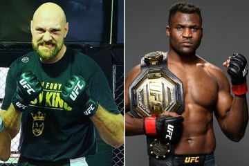 Fury vs Ngannou mixed-rules bout with 4oz gloves in the cage 'evens it up'
