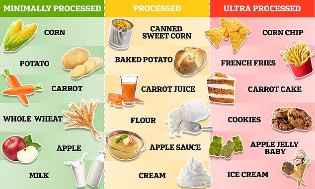 Nutritionists split food into three groups based on the amount of processing they have gone through. Minimally processed foods, like apples, are usually exactly how they appear in nature. Processed foods, like apple sauce, have gone through at least one level of processing that has changed their original form. In contrast, ultraprocessed foods like apple jelly babies, have gone through multiple levels of processing and are usually full of extra fats, colours and preservatives