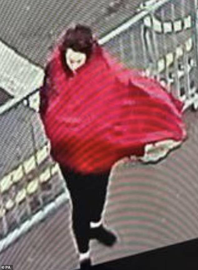 Marten is believed to have been spotted wrapped in red blanket in Harwich Port, Essex on Saturday at 9am