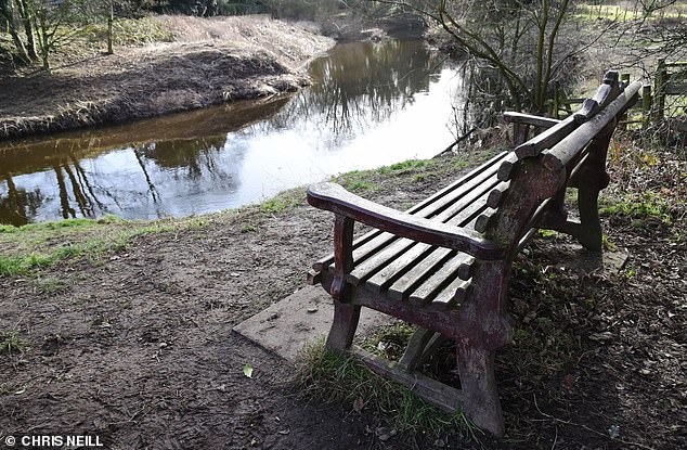 A bench near to the spot where the mother of two was last seen while walking her dog