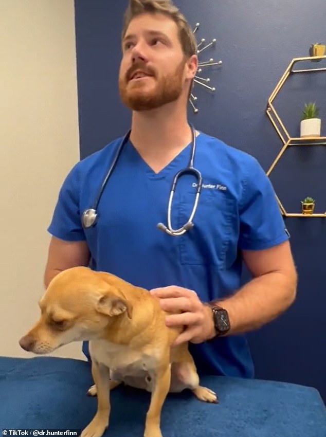 If you spot any growth on an animal, Finn advises getting it checked out immediately by a professional