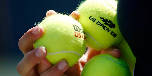 A ball girl holds tennis balls during the match between Tommy Haas of Germany and Robert Kendrick of the U.S. at the U.S. Open tennis championships in New York September 3, 2009. REUTERS/Kevin Lamarque 