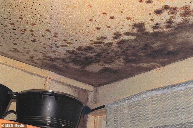 New legislation will ensure that social housing bosses have appropriate qualifications, as well as set strict time limits on solving mould and damp (Pictured: black mould in Awaab's family home in Rochdale)