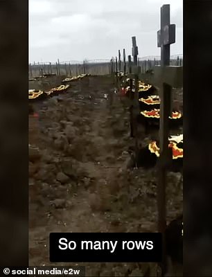 Image shows rows of crosses dug into the ground