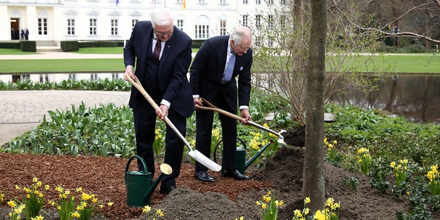 In continuation of the late queen's Green Canopy initiative, President of Germany Frank-Walter Steinmeier and King Charles plant a tree in the late monarch's honor.