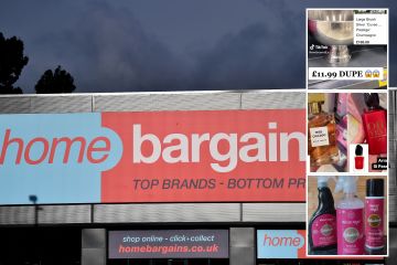 Five dupes you should buy at Home Bargains which could save you over £100