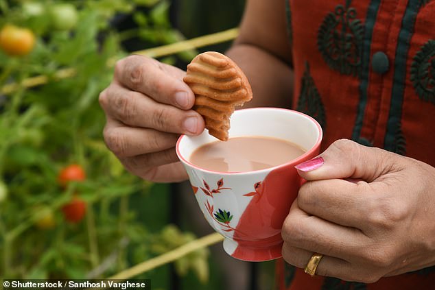 Whether it's a basic Malted Milk or a fancy Custard Cream, no good cup of tea is complete without a biscuit for dunking. With International Biscuit Day now here, one huge question remains - what is the best biscuit for dunking?