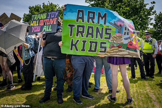 Some trans rights demonstrators were pictured holding banners reading 'Arm trans kids'