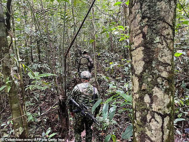 There were no signs of the youngsters when the aircraft's wreckage was recovered by the Colombian military - causing a huge search operation in the southeast of the country to find them