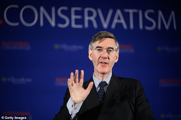 Former Tory Cabinet minister Jacob Rees-Mogg said the probe 'must be about the systems of government, not an individual' as there was no point 'trying to pin blame'.