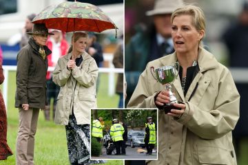 Duchess Sophie seen for first time since police escort crashed into pensioner