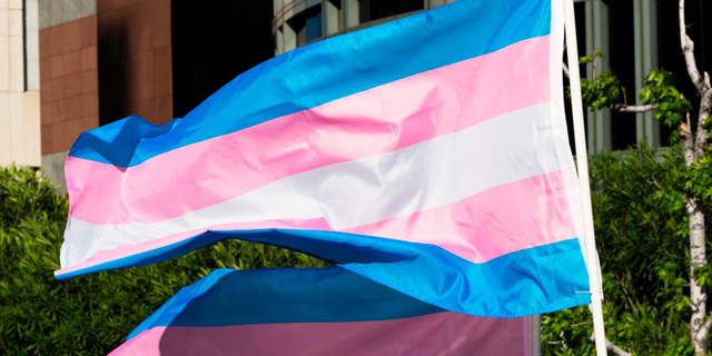 Transgender flag gender affirming care