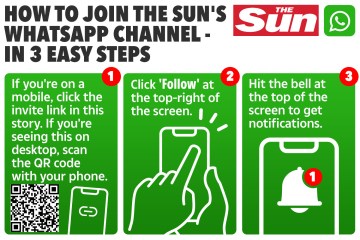 How to join The Sun's brilliant new WhatsApp channel in three easy steps