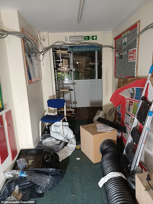 A total of 711 plants were seized from inside Abu Bakr Boys' School. Images revealed hundreds of plants growing among old classroom equipment - including school chairs and notice boards