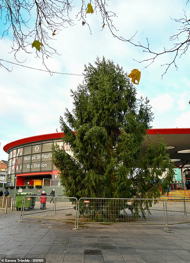 WEST MIDLANDS: Elsewhere, locals have blasted 'Scrooge' Walsall Council for its 'Shabby' Christmas Tree near to St Paul's Bus Station, which has had barely any lights put on it in a bid to save cash