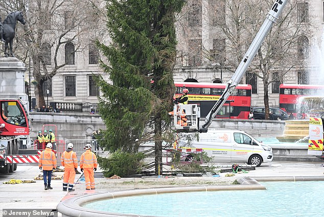 LONDON: A tree has been sent by Norway ever since the World War Two in recognition of Britain's help